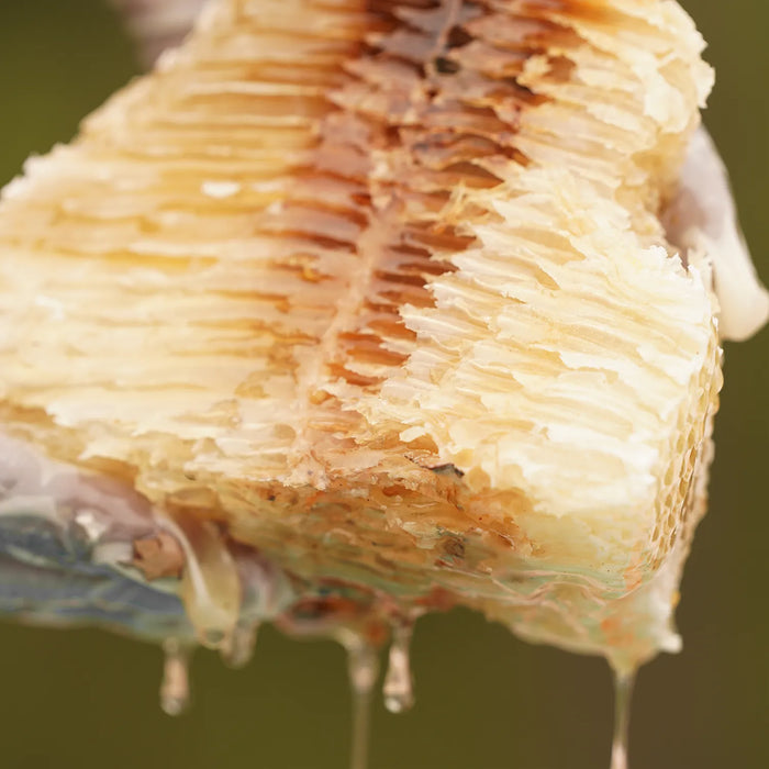 Extracting the Honey