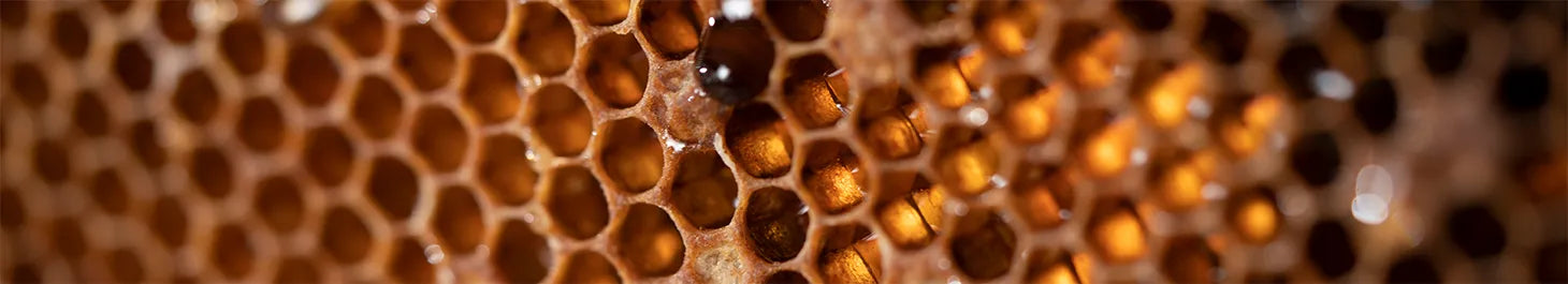 Honey Allied