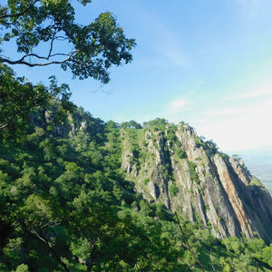 Eastern Ghats