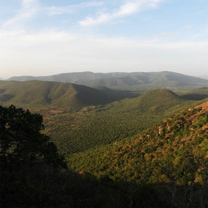Western Ghats